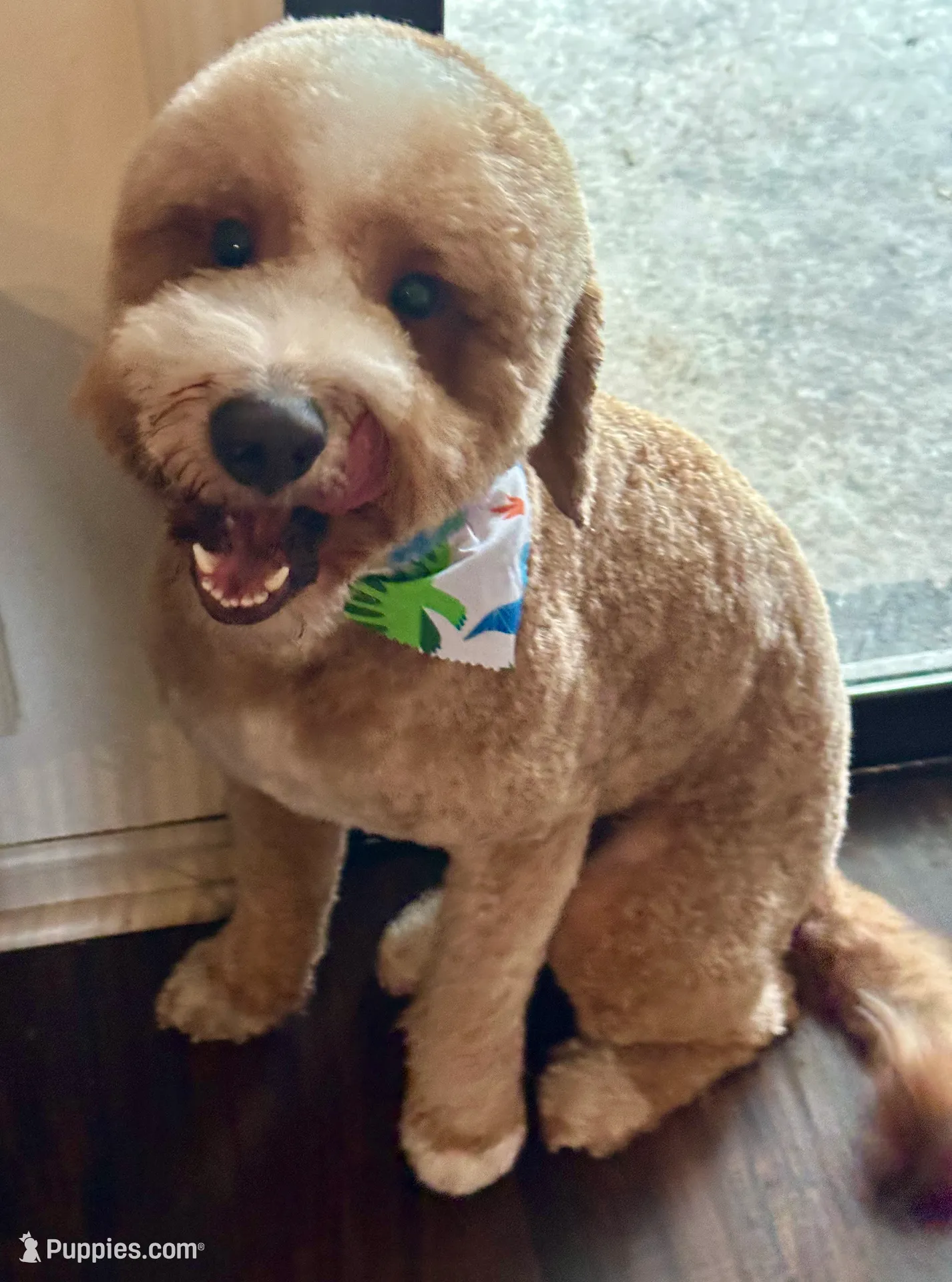 processed/eb850dff-f88a-400f-835f-880646b2f47a/listing/a41042e6-4ce3-4a5b-bcc9-9a5c2d0a243d/d7672439-40a7-457f-aeb0-b5342e5c8853