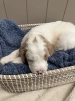 processed/eb850dff-f88a-400f-835f-880646b2f47a/listing/ab4f0eee-d381-4eaa-81f9-e757183b0940/0f3ebb88-c742-4001-8959-fd79bc472fab