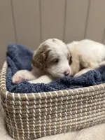 processed/eb850dff-f88a-400f-835f-880646b2f47a/listing/ab4f0eee-d381-4eaa-81f9-e757183b0940/272164cd-778a-4648-a4e9-0e6e958a331e