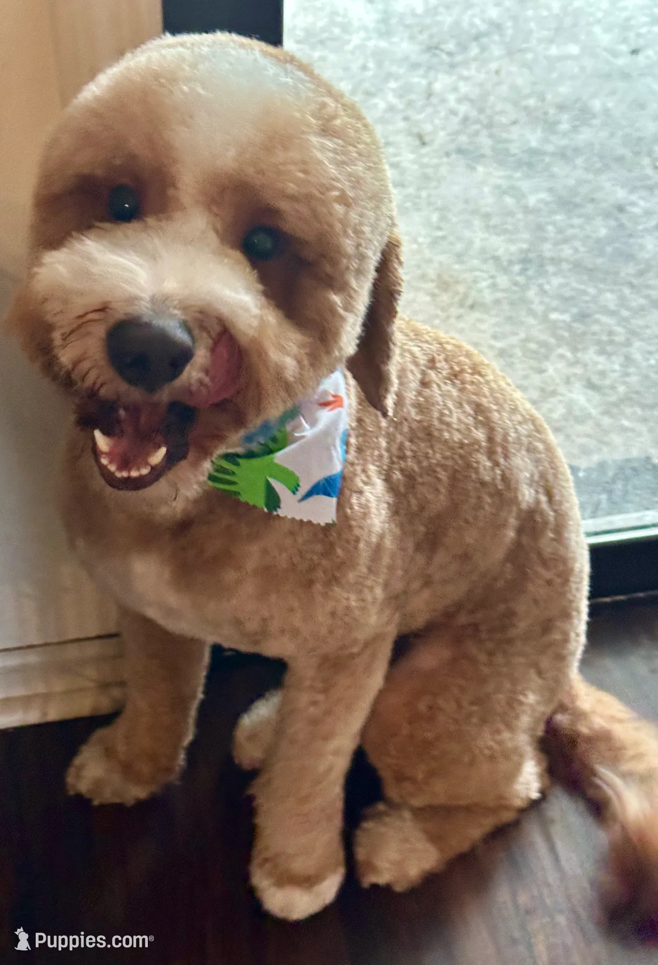 processed/eb850dff-f88a-400f-835f-880646b2f47a/listing/ab4f0eee-d381-4eaa-81f9-e757183b0940/35574fbf-baca-4a3f-a7f6-abd8fa7213e8