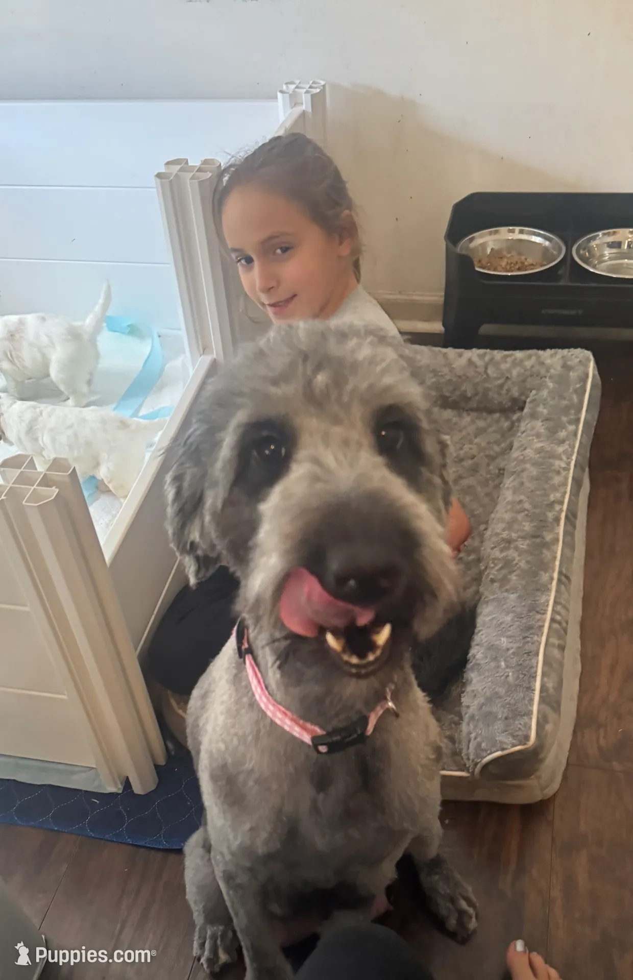 processed/eb850dff-f88a-400f-835f-880646b2f47a/listing/ab4f0eee-d381-4eaa-81f9-e757183b0940/3d49212d-0a9a-4e24-87b3-4fa3aac5608e