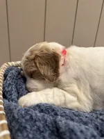 processed/eb850dff-f88a-400f-835f-880646b2f47a/listing/ab4f0eee-d381-4eaa-81f9-e757183b0940/73ceb8fc-6c75-48c7-b6bf-5bc6374cc889