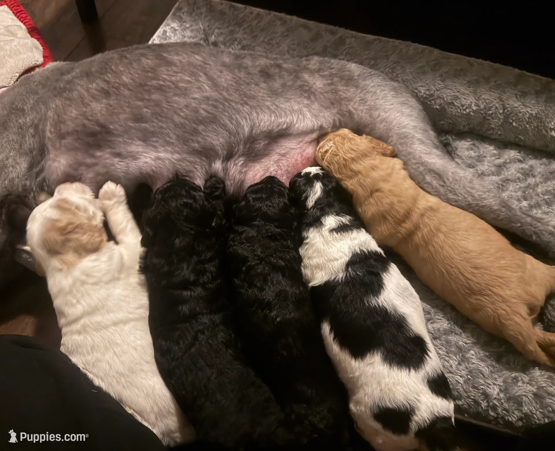 processed/eb850dff-f88a-400f-835f-880646b2f47a/listing/ab4f0eee-d381-4eaa-81f9-e757183b0940/a59523dd-5110-4163-8c6a-b6837cc823bc