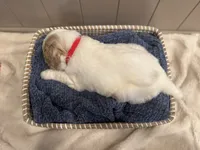 processed/eb850dff-f88a-400f-835f-880646b2f47a/listing/ab4f0eee-d381-4eaa-81f9-e757183b0940/c7ab3beb-9919-494a-902f-636fba1deb27