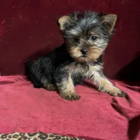 processed/eb85bb97-e427-41d7-abeb-64fb5534a550/facility/436deba6-5ed6-463a-8e5f-25578a30f83d