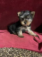 processed/eb85bb97-e427-41d7-abeb-64fb5534a550/facility/436deba6-5ed6-463a-8e5f-25578a30f83d