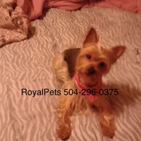 processed/eb85bb97-e427-41d7-abeb-64fb5534a550/facility/4512a520-2f16-4c47-b460-98a2d3ba637c