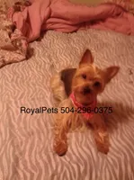 processed/eb85bb97-e427-41d7-abeb-64fb5534a550/facility/4512a520-2f16-4c47-b460-98a2d3ba637c