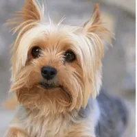 processed/eb85bb97-e427-41d7-abeb-64fb5534a550/facility/78711f01-6522-4954-83be-fbff9b339805