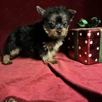 processed/eb85bb97-e427-41d7-abeb-64fb5534a550/facility/835a3976-7bd0-4b91-a927-8ccdf0a84143