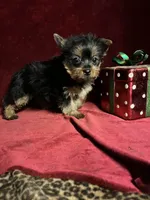 processed/eb85bb97-e427-41d7-abeb-64fb5534a550/facility/835a3976-7bd0-4b91-a927-8ccdf0a84143