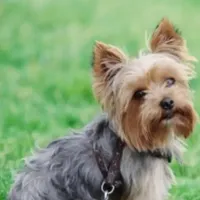 processed/eb85bb97-e427-41d7-abeb-64fb5534a550/facility/b14608ac-efdc-46c5-85d4-984accbb9d56