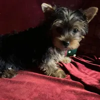 processed/eb85bb97-e427-41d7-abeb-64fb5534a550/facility/ec1493c5-b2d9-4321-9475-82afbf5eff73