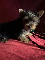 processed/eb85bb97-e427-41d7-abeb-64fb5534a550/facility/ec1493c5-b2d9-4321-9475-82afbf5eff73