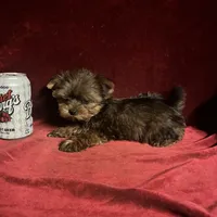 processed/eb85bb97-e427-41d7-abeb-64fb5534a550/facility/f13ebf7c-b2cd-440d-af32-dcabfc2ce054