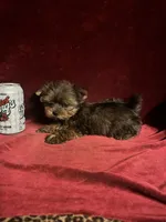 processed/eb85bb97-e427-41d7-abeb-64fb5534a550/facility/f13ebf7c-b2cd-440d-af32-dcabfc2ce054