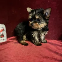 processed/eb85bb97-e427-41d7-abeb-64fb5534a550/facility/f4e67c50-f939-4c3c-9111-15cb76159c86