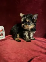 processed/eb85bb97-e427-41d7-abeb-64fb5534a550/facility/f4e67c50-f939-4c3c-9111-15cb76159c86