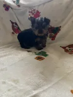 processed/eb85bb97-e427-41d7-abeb-64fb5534a550/listing/87ec28c6-61e8-4934-83c0-55848e32b471/1373d0d6-67bd-410b-a6fd-0356781802e2