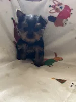 processed/eb85bb97-e427-41d7-abeb-64fb5534a550/listing/87ec28c6-61e8-4934-83c0-55848e32b471/6237c7f2-a28b-45b9-8663-2eeac12533f1