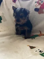 processed/eb85bb97-e427-41d7-abeb-64fb5534a550/listing/87ec28c6-61e8-4934-83c0-55848e32b471/e4cdf422-27f8-4503-b8e5-56e386ef9797