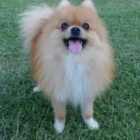 processed/eb909a69-04fa-48a4-8bbc-a5d514f33234/facility/3a6a0a5f-d3f2-4e3a-9852-d4e9c8a80840