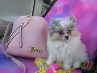 processed/eb909a69-04fa-48a4-8bbc-a5d514f33234/facility/40a9c55f-eabc-473b-ba0d-e412e10941bc