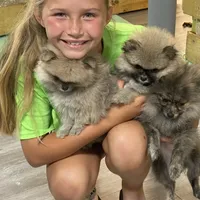 processed/eb909a69-04fa-48a4-8bbc-a5d514f33234/facility/4339f7ed-76aa-4f7b-b418-ad50345479e2