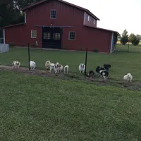 processed/eb909a69-04fa-48a4-8bbc-a5d514f33234/facility/493a43e9-2f5b-40f2-8120-d533f0cf4420