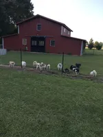 processed/eb909a69-04fa-48a4-8bbc-a5d514f33234/facility/493a43e9-2f5b-40f2-8120-d533f0cf4420