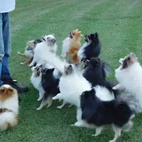 processed/eb909a69-04fa-48a4-8bbc-a5d514f33234/facility/808accce-191e-41d3-8cba-fef139823263