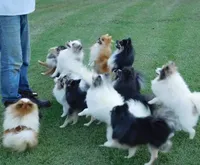 processed/eb909a69-04fa-48a4-8bbc-a5d514f33234/facility/808accce-191e-41d3-8cba-fef139823263