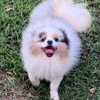 processed/eb909a69-04fa-48a4-8bbc-a5d514f33234/facility/9c0b8828-caa1-417f-8108-98571976cedb