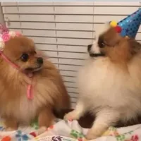 processed/eb909a69-04fa-48a4-8bbc-a5d514f33234/facility/eca2c16c-722a-496b-98ae-89f912ed7670