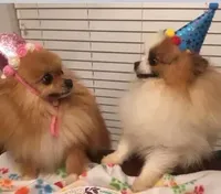 processed/eb909a69-04fa-48a4-8bbc-a5d514f33234/facility/eca2c16c-722a-496b-98ae-89f912ed7670