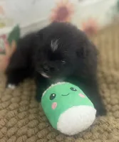 processed/eb909a69-04fa-48a4-8bbc-a5d514f33234/listing/199bae65-ad12-46c6-a8fc-a4218409ae1e/20179d20-a0b3-4b34-a4fe-e6f520865d92