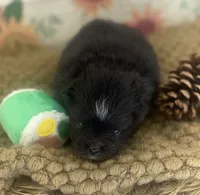 processed/eb909a69-04fa-48a4-8bbc-a5d514f33234/listing/199bae65-ad12-46c6-a8fc-a4218409ae1e/4bb0ceb1-4046-4e49-83fc-8a8fc199c70e