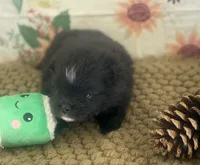 processed/eb909a69-04fa-48a4-8bbc-a5d514f33234/listing/199bae65-ad12-46c6-a8fc-a4218409ae1e/899c2c5c-ce58-4747-b622-b77261f1e718