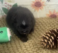 processed/eb909a69-04fa-48a4-8bbc-a5d514f33234/listing/199bae65-ad12-46c6-a8fc-a4218409ae1e/96700a7e-0198-459c-be5a-479492c5d877