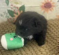 processed/eb909a69-04fa-48a4-8bbc-a5d514f33234/listing/199bae65-ad12-46c6-a8fc-a4218409ae1e/ddf64ae9-4c57-4bc3-806f-667a86faef0c