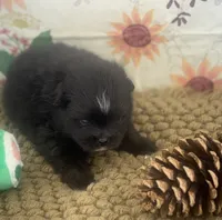 processed/eb909a69-04fa-48a4-8bbc-a5d514f33234/listing/199bae65-ad12-46c6-a8fc-a4218409ae1e/fd33c367-d0cc-444a-84bb-31b2403032d1