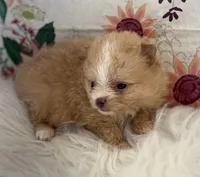 processed/eb909a69-04fa-48a4-8bbc-a5d514f33234/listing/86c38085-50b7-429f-b1ba-1ef7ca5924ab/a40a1256-d6d8-48b7-9974-e8751592b0a0