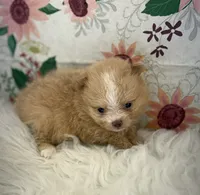 processed/eb909a69-04fa-48a4-8bbc-a5d514f33234/listing/86c38085-50b7-429f-b1ba-1ef7ca5924ab/cd78df84-939d-40dd-8864-5da5196254ed