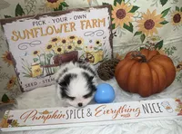 AKC Daisy, a female Pomeranian for sale in Byron, GA – Photo 6 of 10