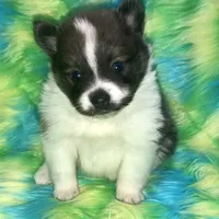 processed/eb95dc66-1eb8-4db3-b07a-f0e7de83521f/facility/0cb2ef44-d32c-4122-92da-441320fc6e24