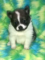 processed/eb95dc66-1eb8-4db3-b07a-f0e7de83521f/facility/0cb2ef44-d32c-4122-92da-441320fc6e24