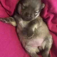 processed/eb95dc66-1eb8-4db3-b07a-f0e7de83521f/facility/2c37ef6e-cb90-4652-9d3a-01c54169a402