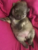 processed/eb95dc66-1eb8-4db3-b07a-f0e7de83521f/facility/2c37ef6e-cb90-4652-9d3a-01c54169a402