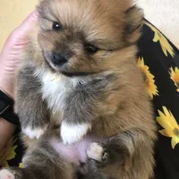 processed/eb95dc66-1eb8-4db3-b07a-f0e7de83521f/facility/36c0d597-aff8-4d14-af27-95c49353cbc3