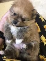 processed/eb95dc66-1eb8-4db3-b07a-f0e7de83521f/facility/36c0d597-aff8-4d14-af27-95c49353cbc3